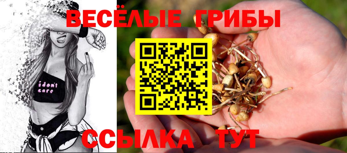 Псилоцибиновые грибы Cubensis  Псилоцибиновые грибы мицелий  Вход с VPN  Сафоново 